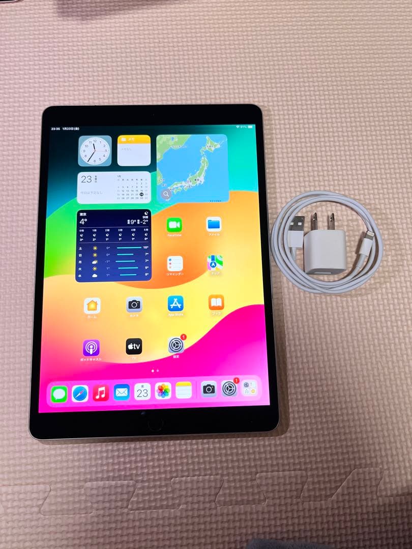 iPad Pro 10.5-inch 512 GB SIMロック解除済