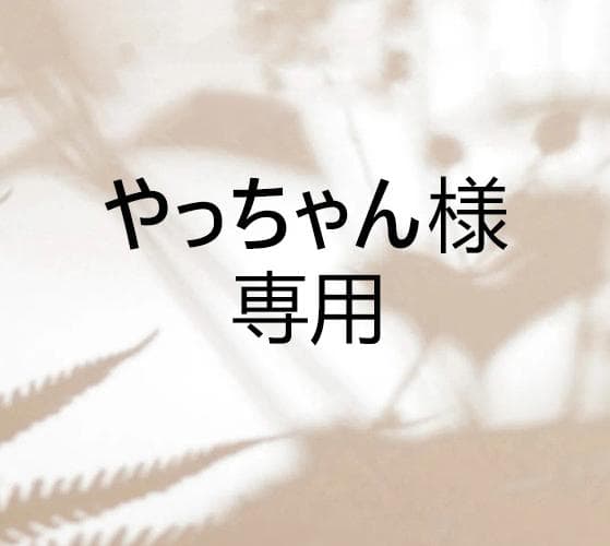 やっちゃん ページ