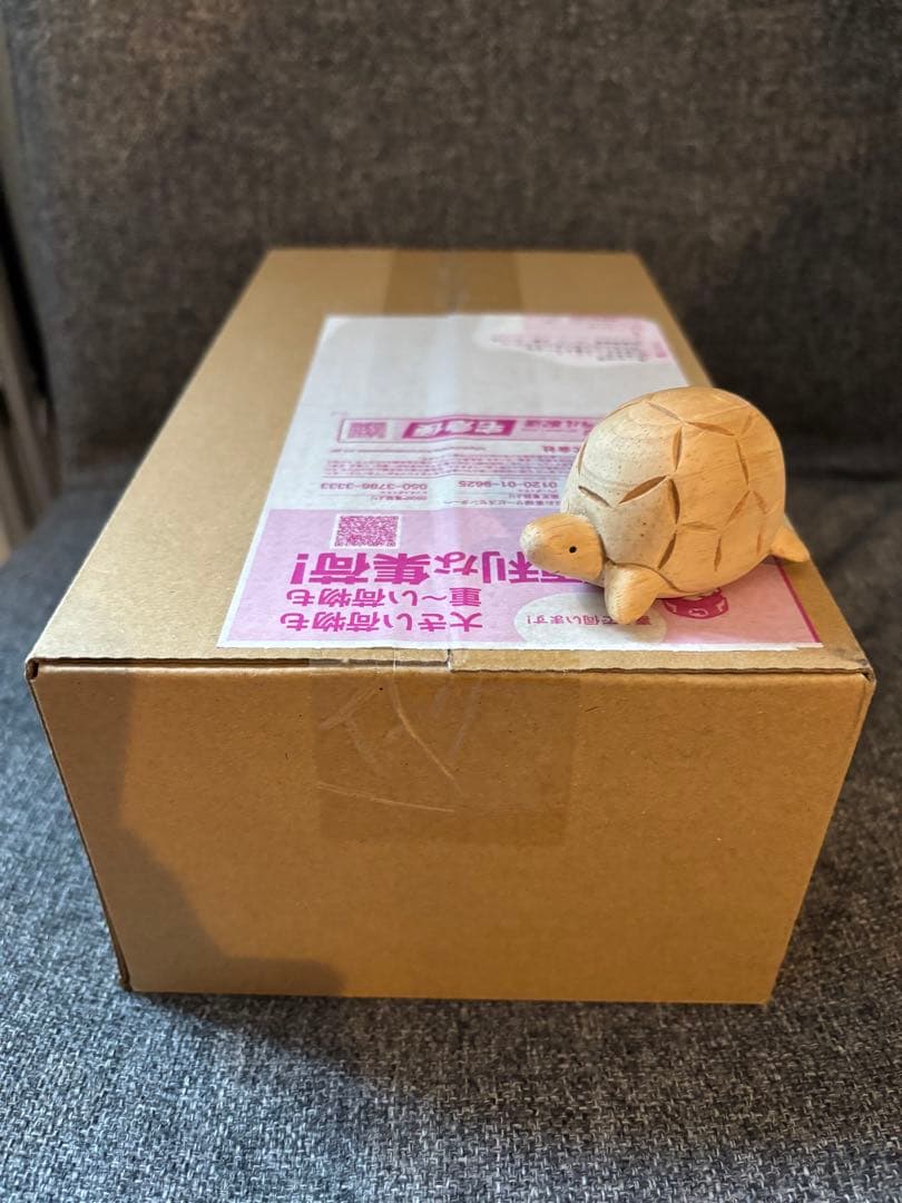 ポケモンカード　ポケモンセンターヒロシマ　当選品　段ボール未開封