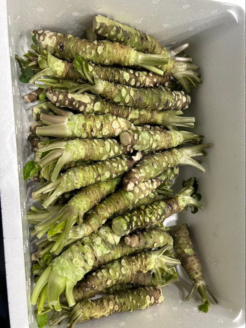 TO様　山葵　1kg