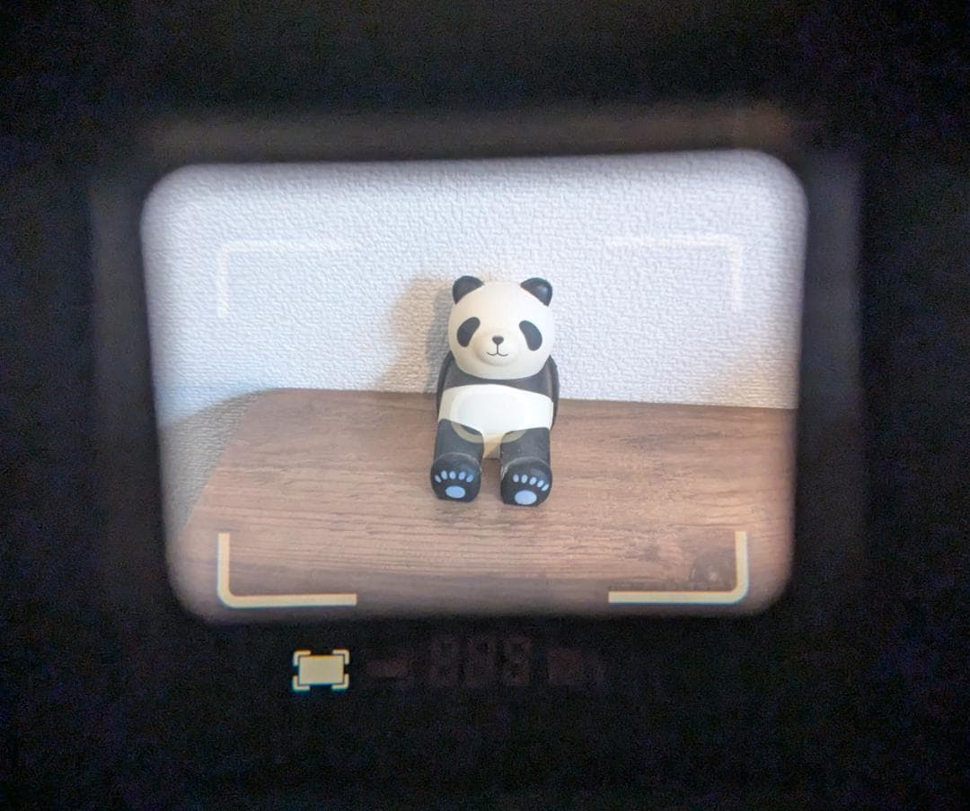 ニコン Nikon 35Ti ストラップ・ケース・説明書付き #304