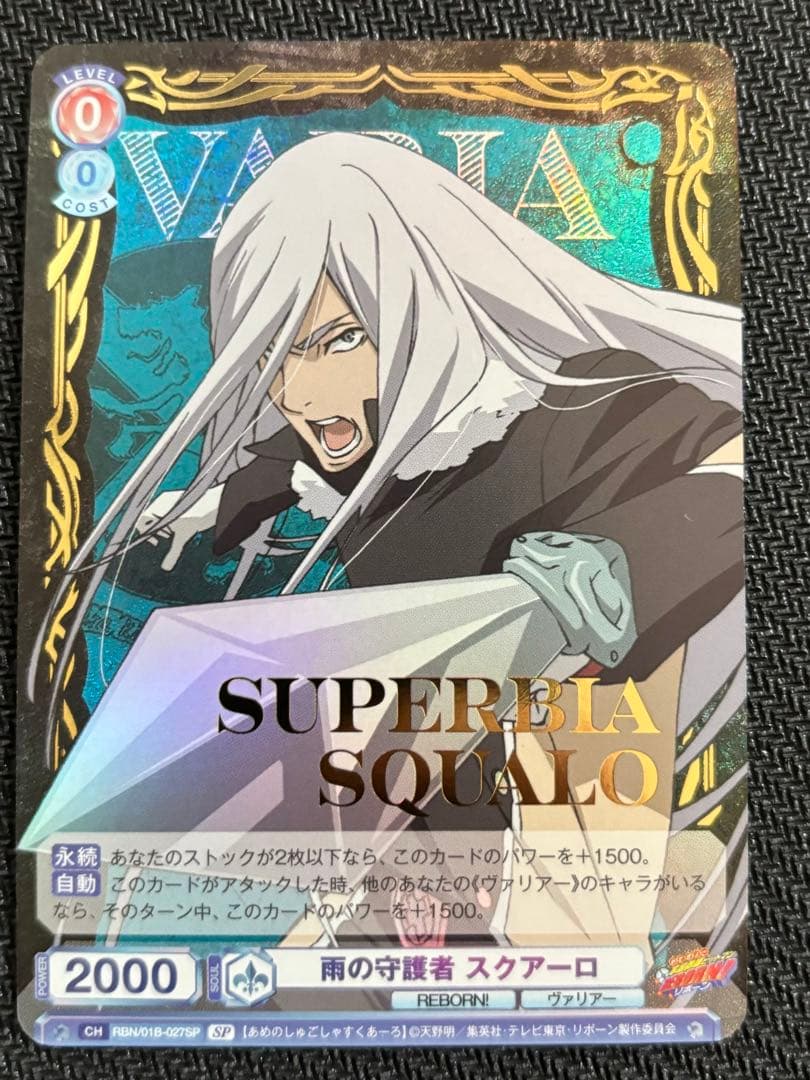 SP 雨の守護者　スクアーロ＆XANXUS