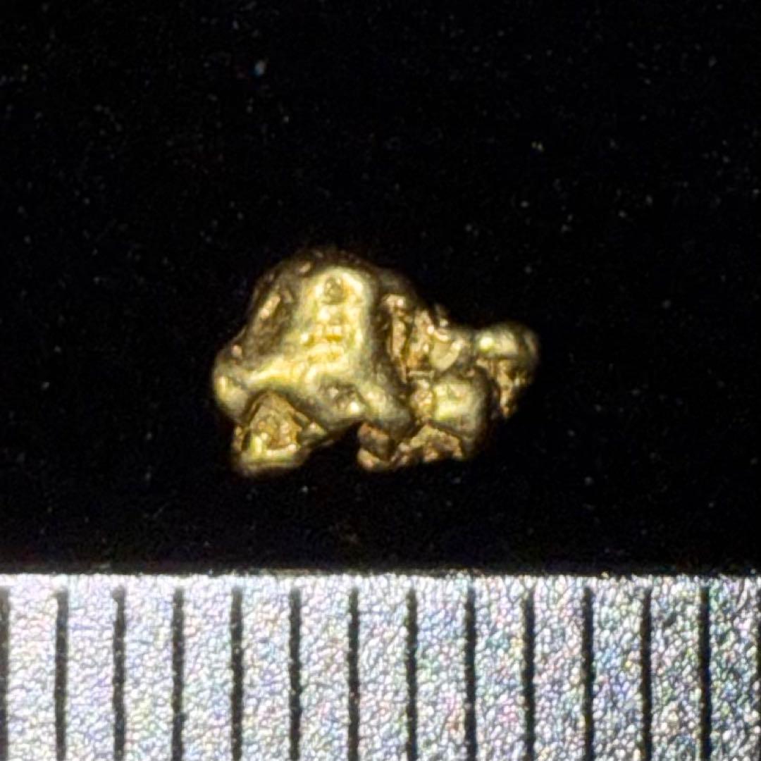 砂金 特大 天然物 【アラスカ産】#92鑑定済 0.31ｇ