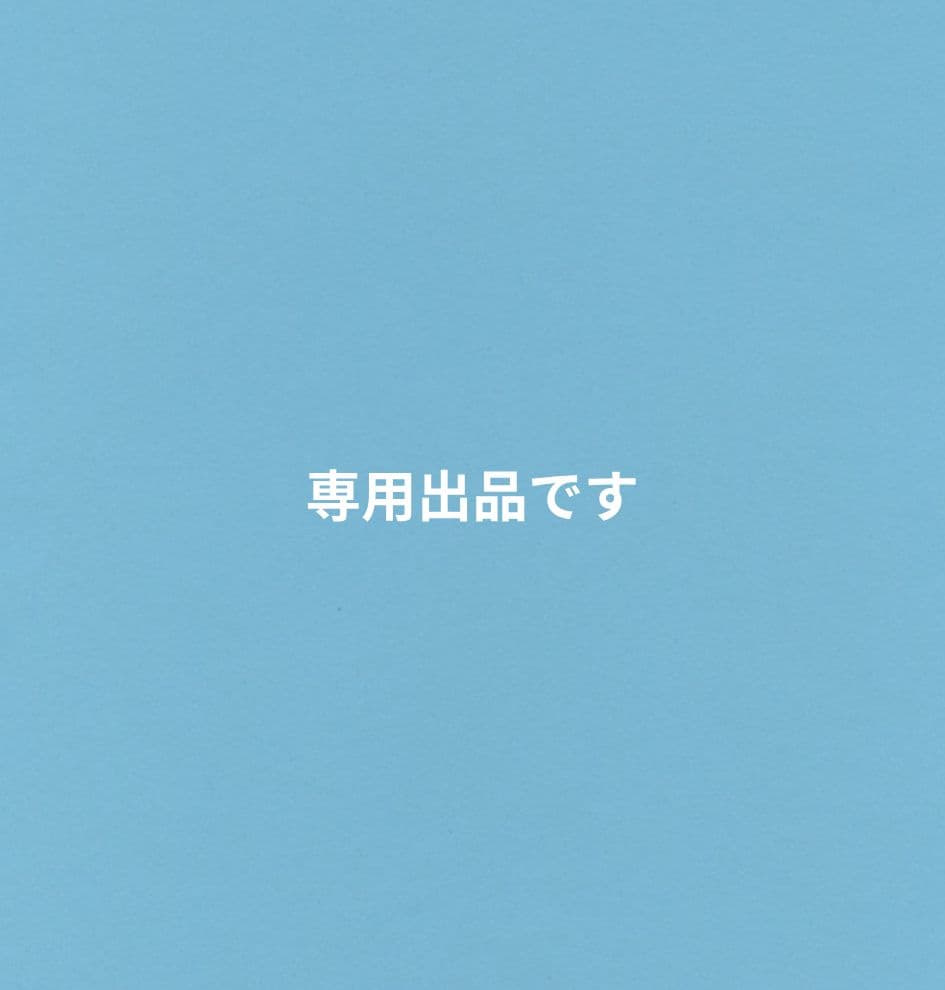 専用出品です パッチワークハンドバッグ