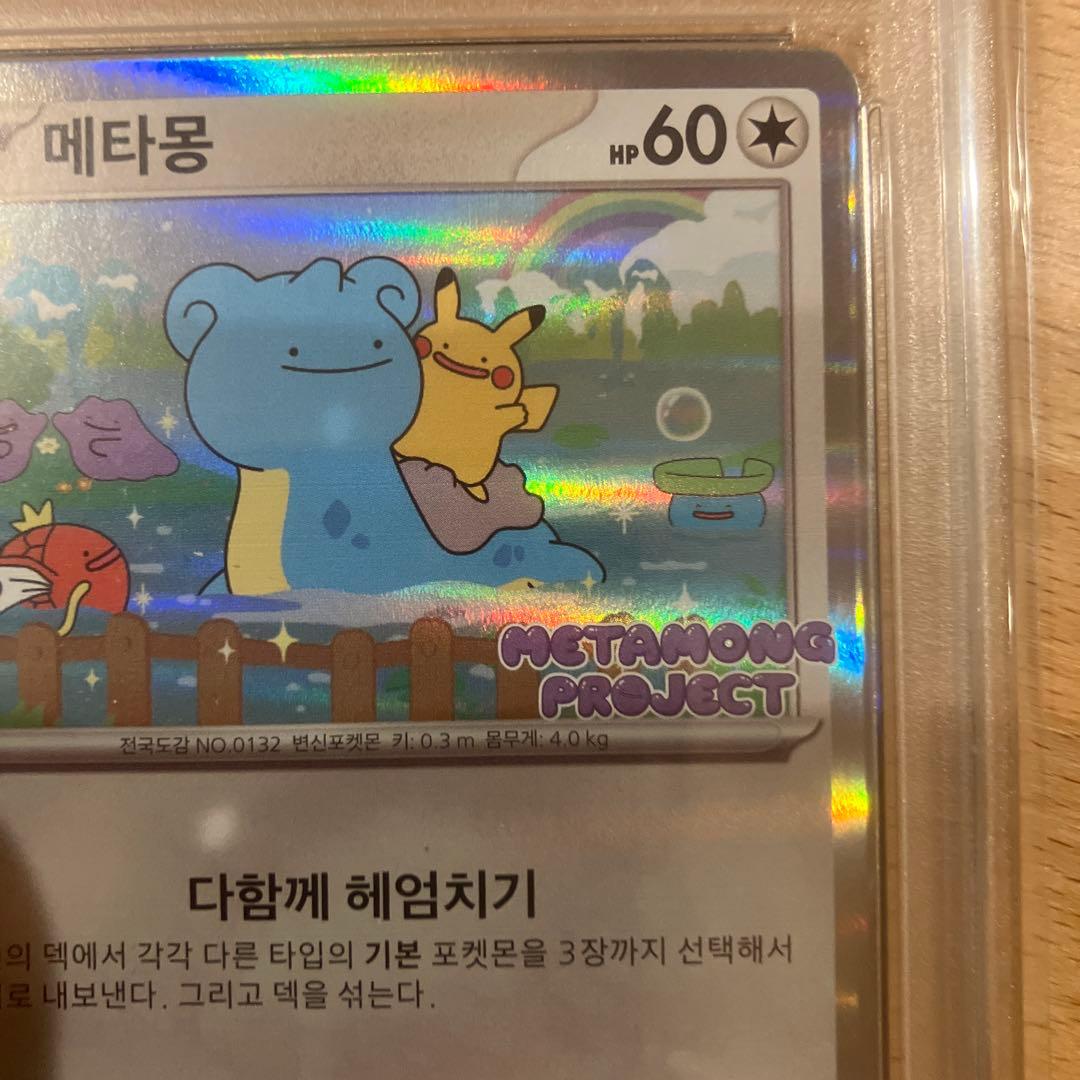 2025 メタモン #173 メタモンプロジェクト　韓国　プロモ　PSA5