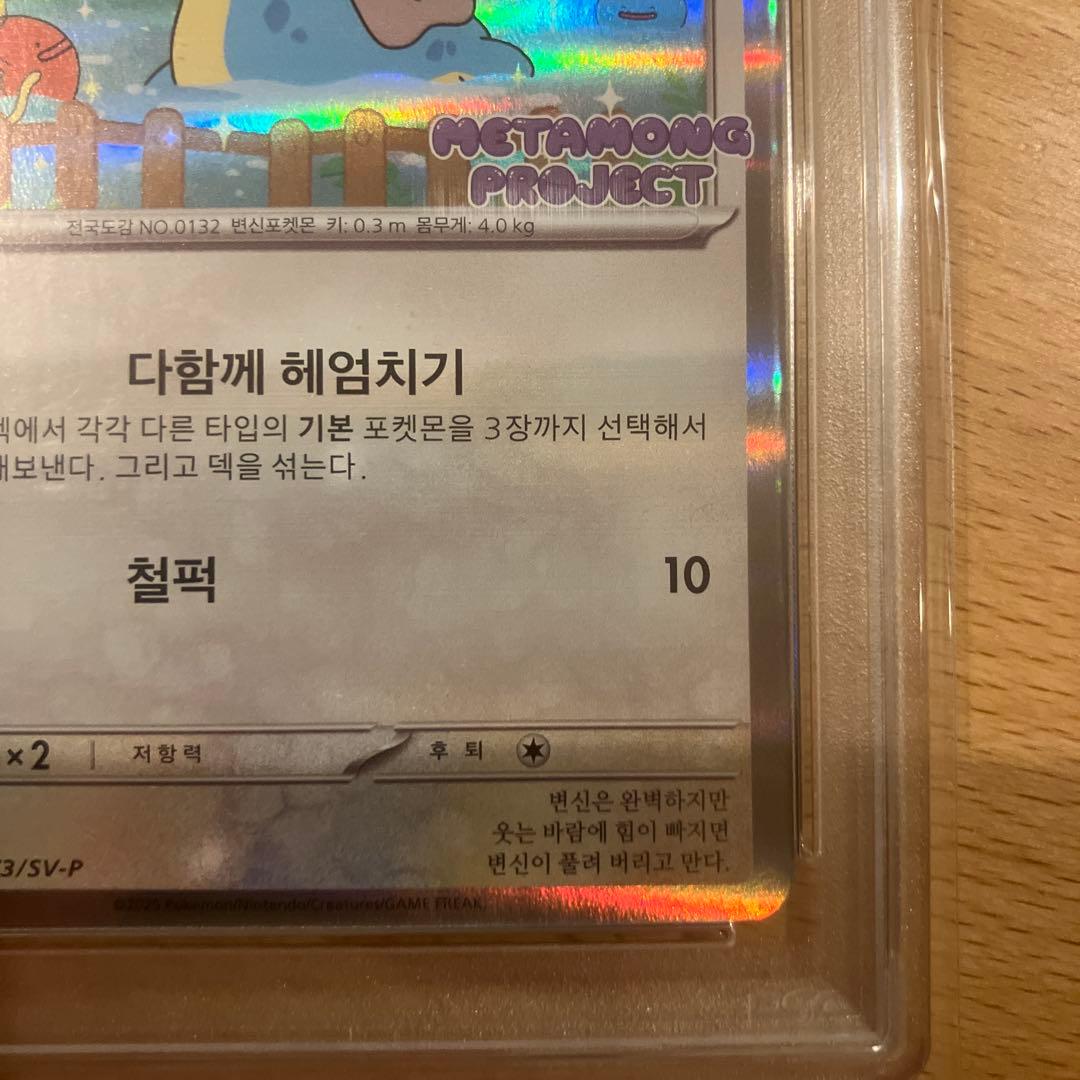 2025 メタモン #173 メタモンプロジェクト　韓国　プロモ　PSA5