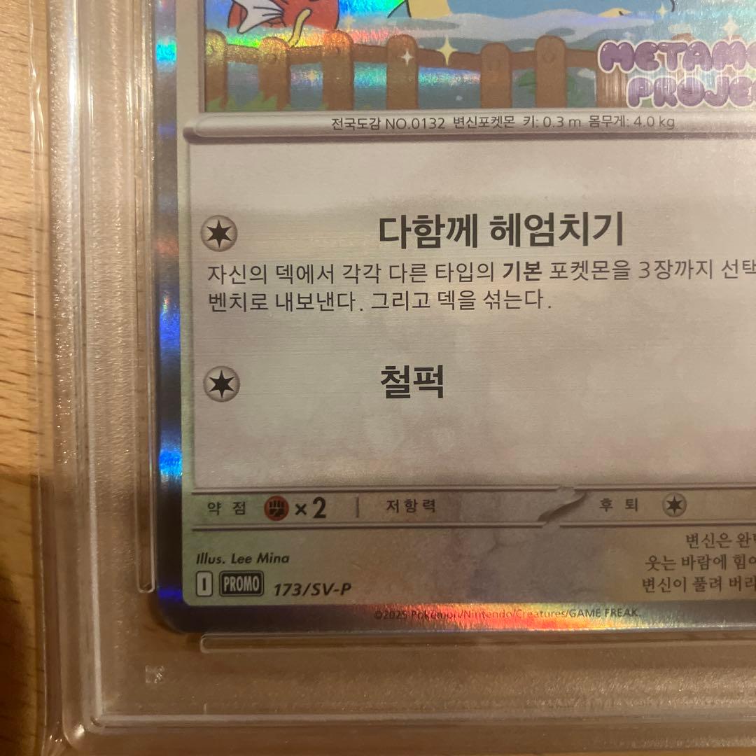2025 メタモン #173 メタモンプロジェクト　韓国　プロモ　PSA5