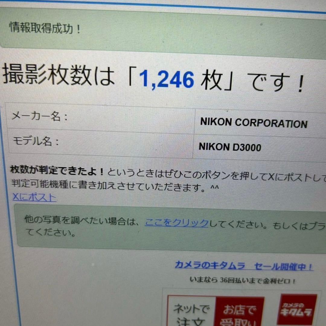美品❤️Nikon D3000 ダブルレンズセット 初心者 屋外イベント撮影