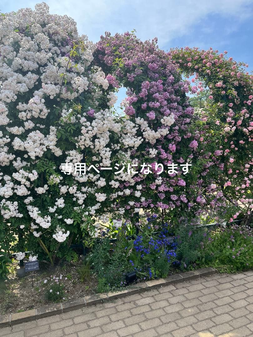 iPhone17ケース　フルオーダー