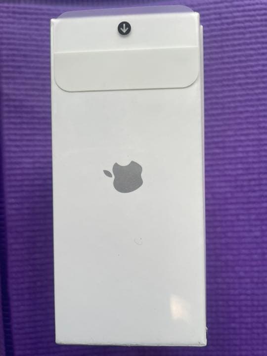 ヘッドホン APPLE MWP22J/A