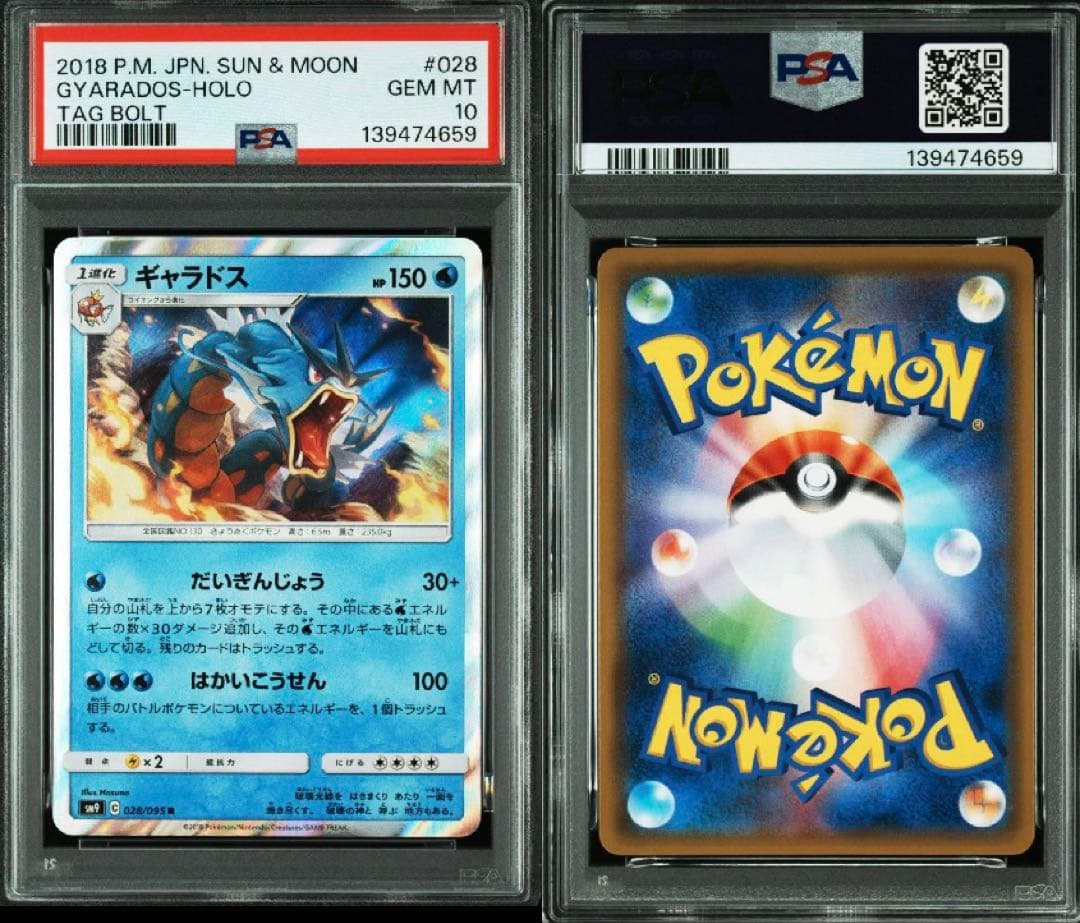 【良イラスト】【希少】【PSA10】ギャラドスR 028/095 タッグボルト