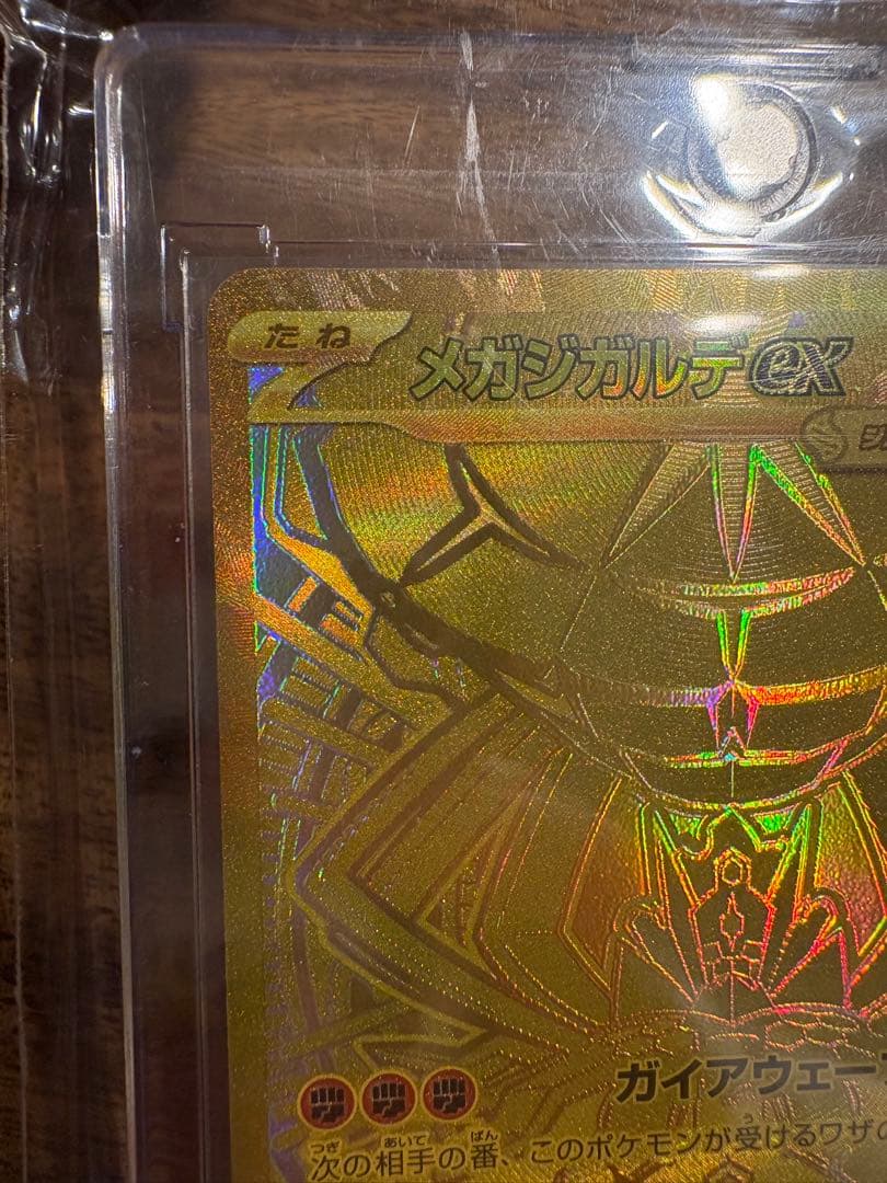 波ノリ　メガジガルデex MUR