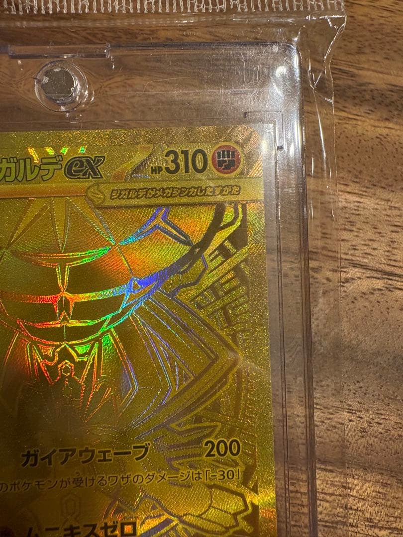 波ノリ　メガジガルデex MUR