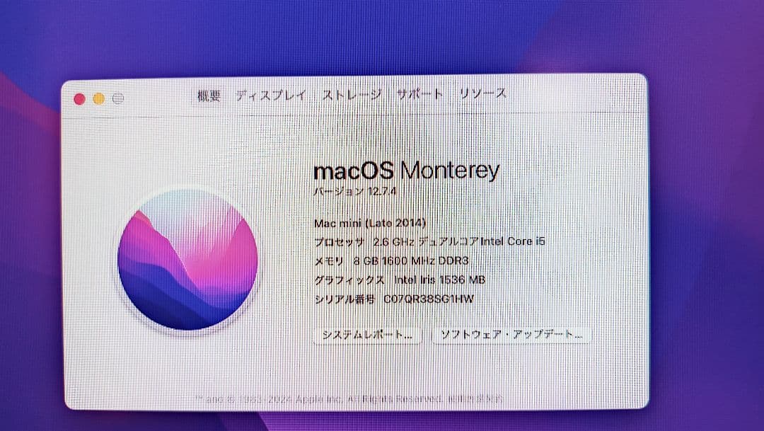 Macデスクトップ Apple Mac mini late 2014 8GB SSD 1TB