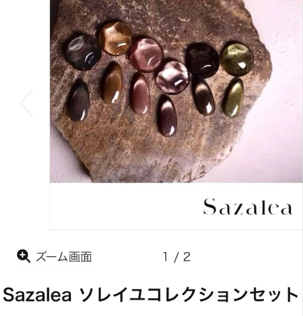 サザレア⭐️10月限定超お得❗️ ジェルネイル マグネットジェル　 30本