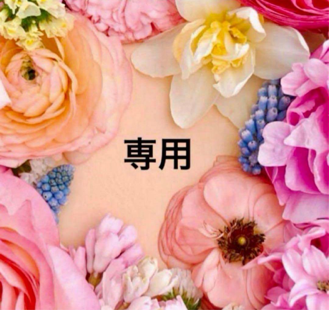 黒妖の花嫁2 おまとめ専用①