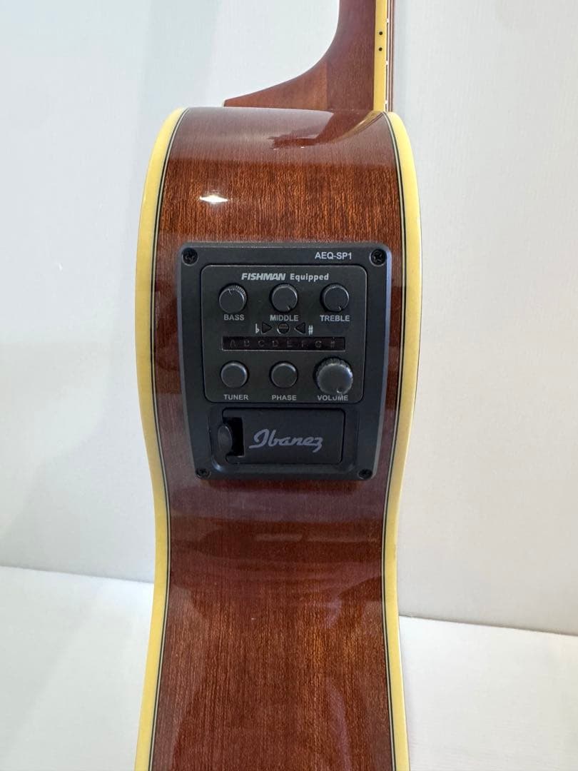 Ibanez ケース付き エレアコ、エレクトリックアコースティックギター