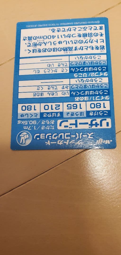 明治meijiリザードン