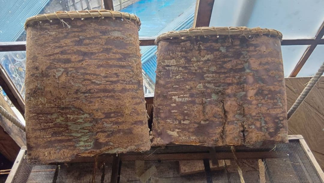 kokonさん専用　かご6個セット