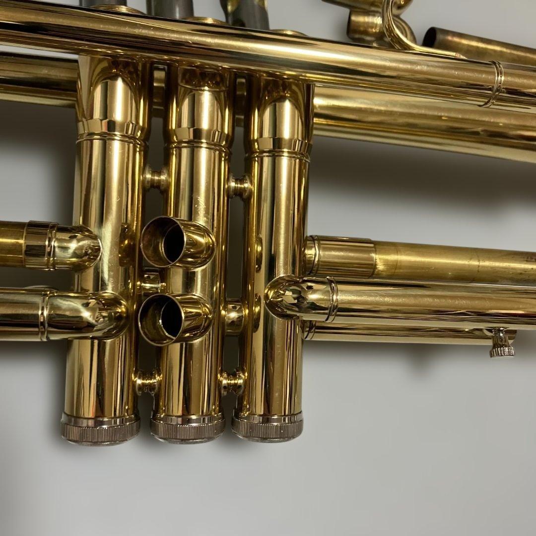 トランペット　本体　付属品　ケース　セット　ミュート付き　模様入り