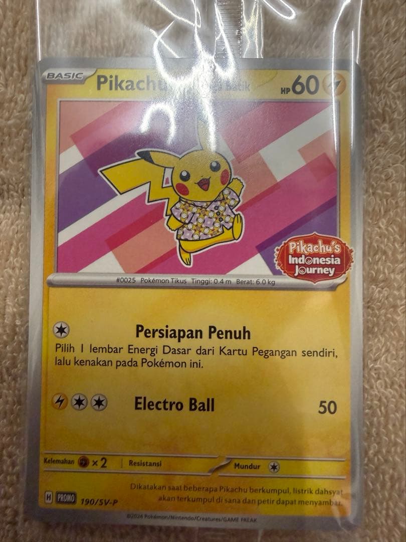 ひゃんちゃん　バティックシャツを着たピカチュウ　新品未開封4色セット