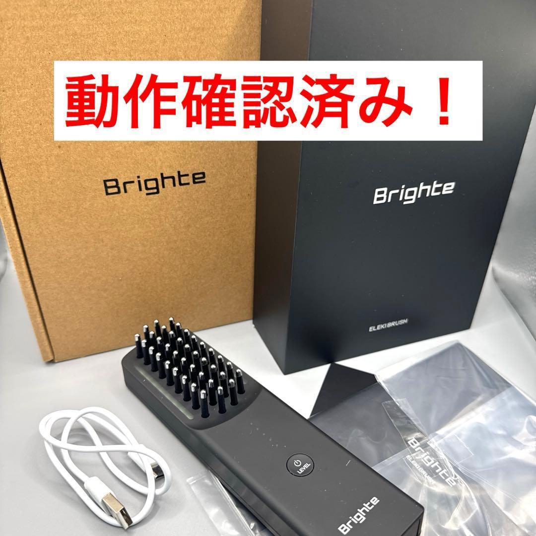 M1391 Brighte ブライト ELEKIBRUSH エレキブラシ