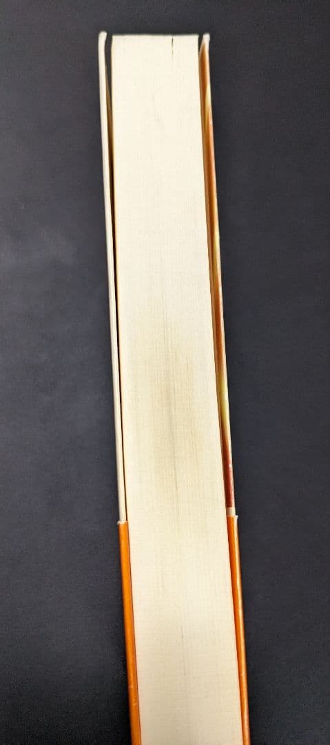 超スピリチュアルな夢実現/幸福獲得法 振り子の法則トランサーフィン