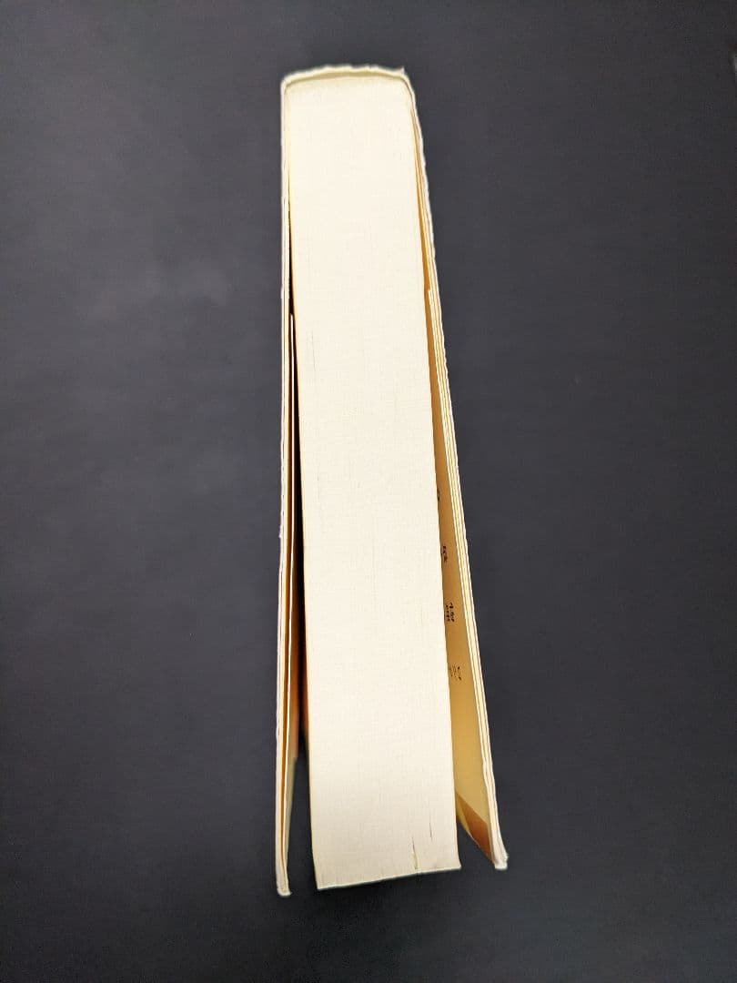 超スピリチュアルな夢実現/幸福獲得法 振り子の法則トランサーフィン