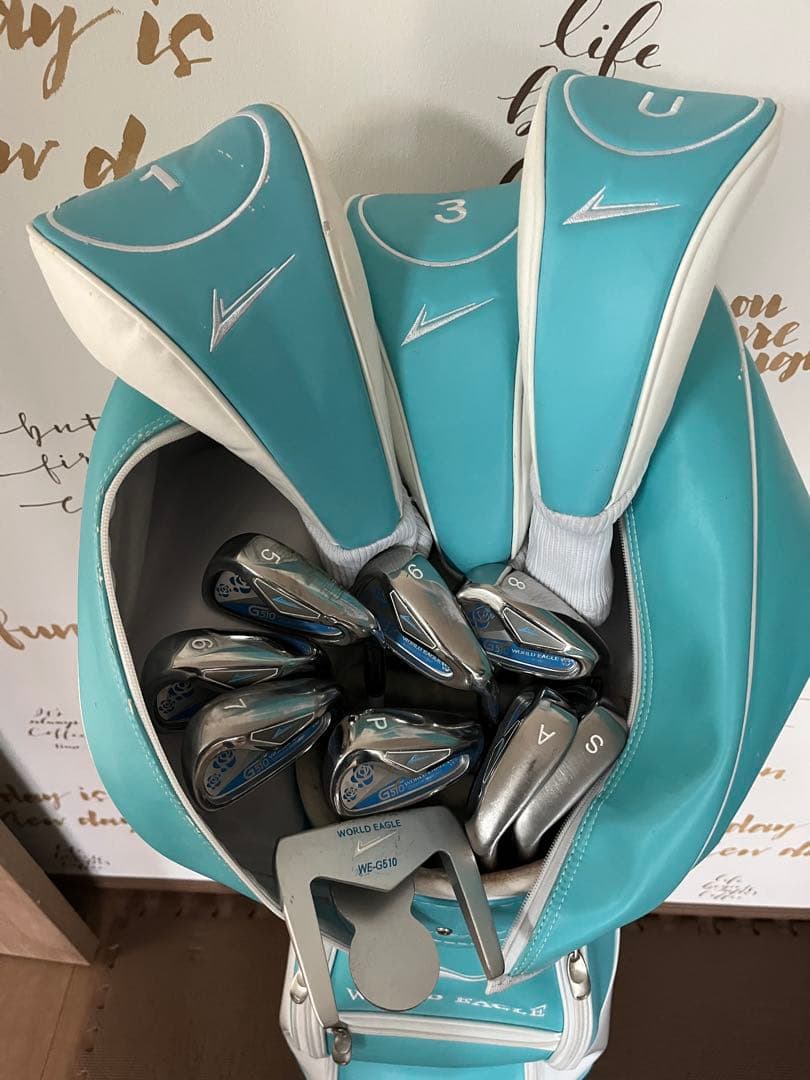 WORLD EAGLE レディース ゴルフクラブセット 12本
