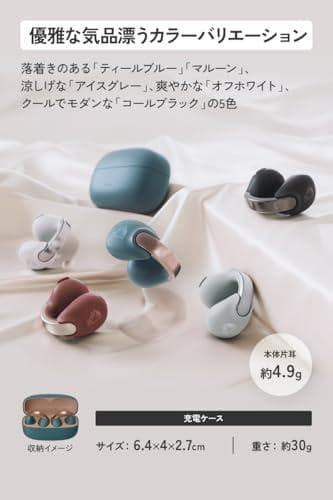 JVCケンウッド Victor HA-NP1T-A ワイヤレスイヤホン Blum