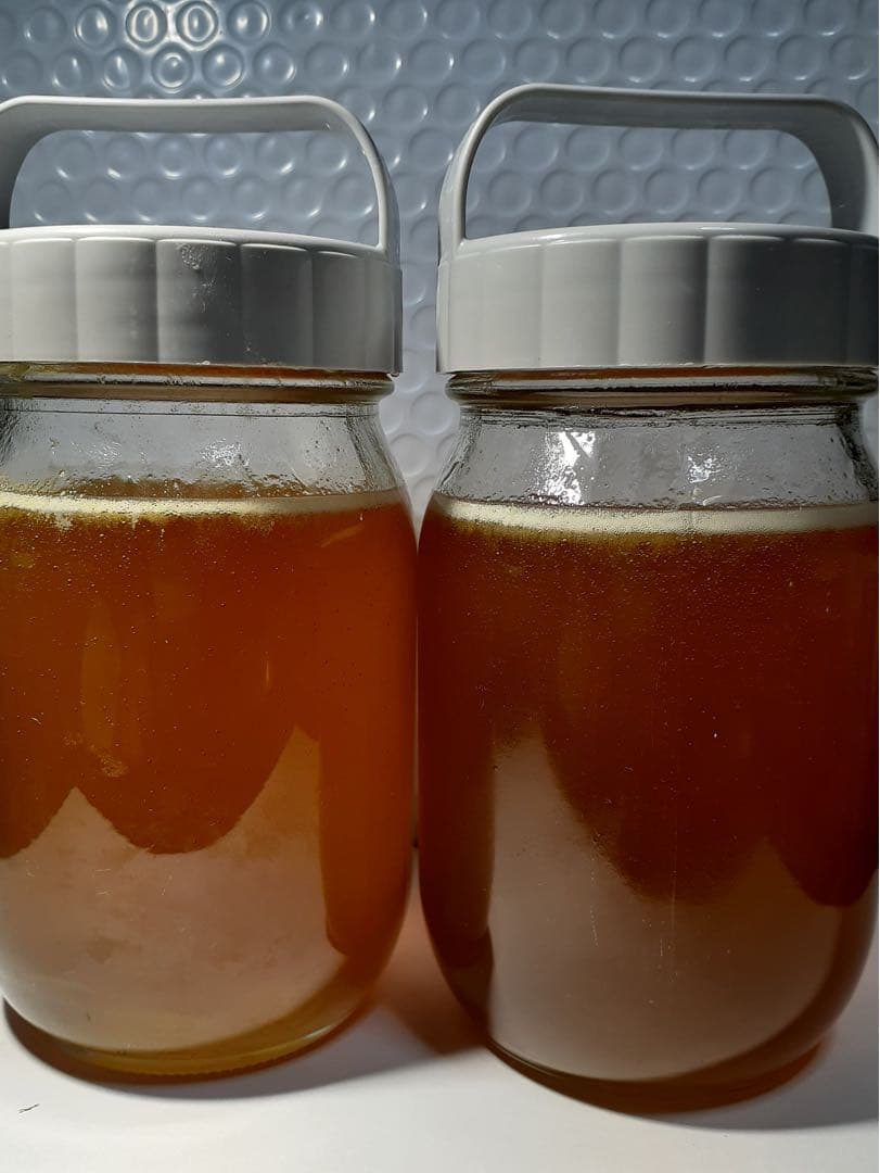 日本ミツバチの生蜂蜜 ５００g X２本 送料無料‼️