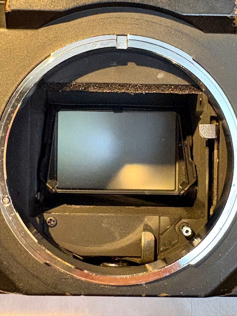 Canon New F-1 アイレベルファインダー　実用品　作例あり