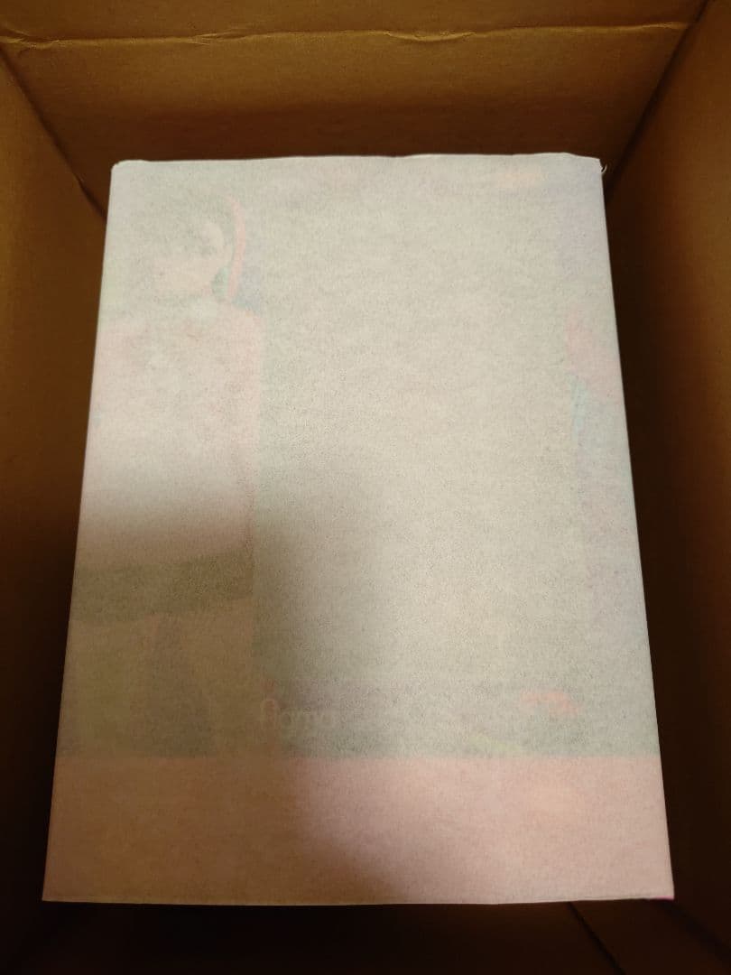 figma ダンダダン　モモ　フィギュア　フィグマ