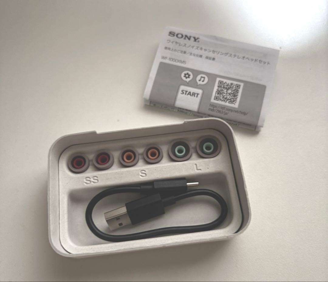 SONY ワイヤレスイヤホン WF-1000XM5 スモーキーピンク