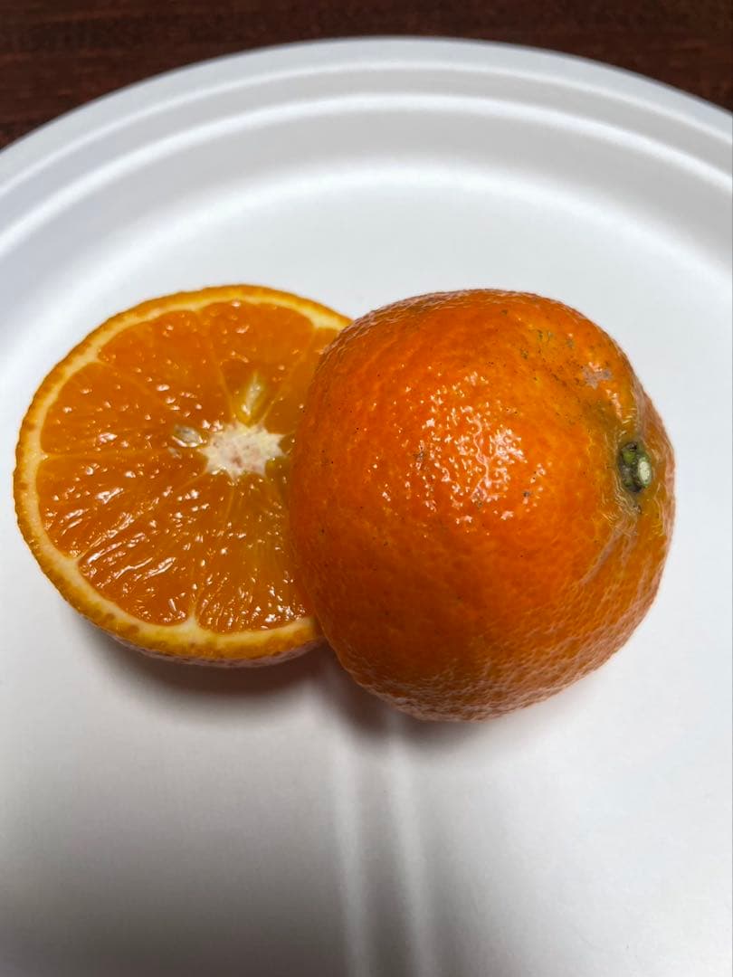 ★ゆんちゃんです★奄美大島たんかん10キロ☆ 3Lサイズ