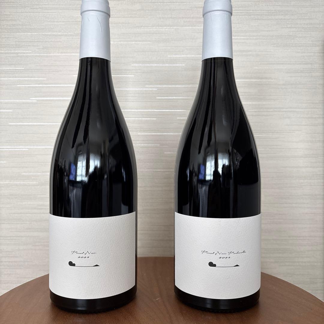 テールドシエル ピノ・ノワール ピノ・ノワール　ペディセル　2023 750ml