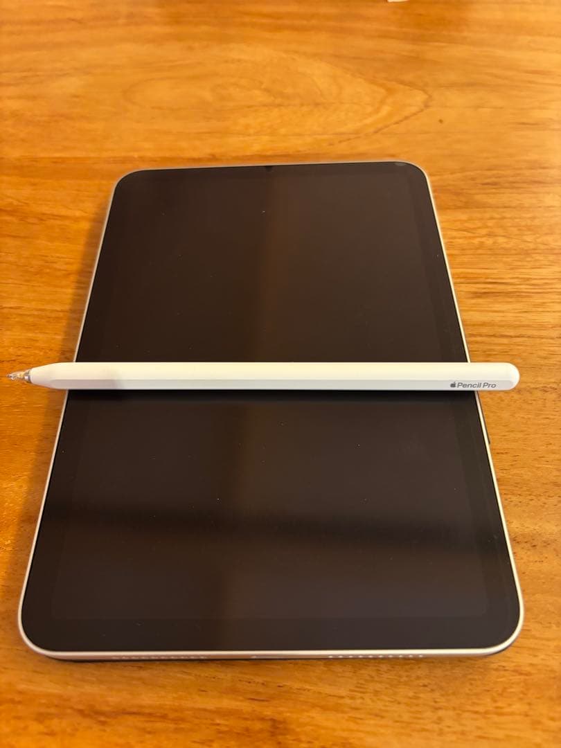 iPad mini7&ApplePencil Pro&PITAKAケース