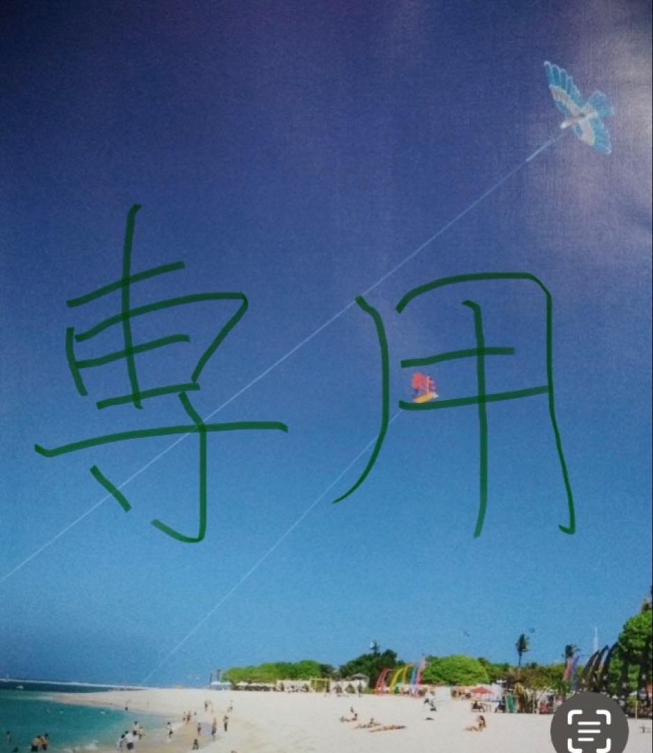 ひーたんちゃん アライヴン　NEWダブル　インヴェル　ブラック