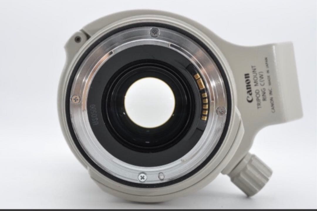 極美品　Canon EF 28-300mm F3.5-5.6L IS USM