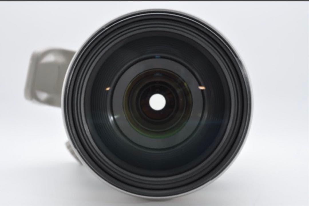 極美品　Canon EF 28-300mm F3.5-5.6L IS USM