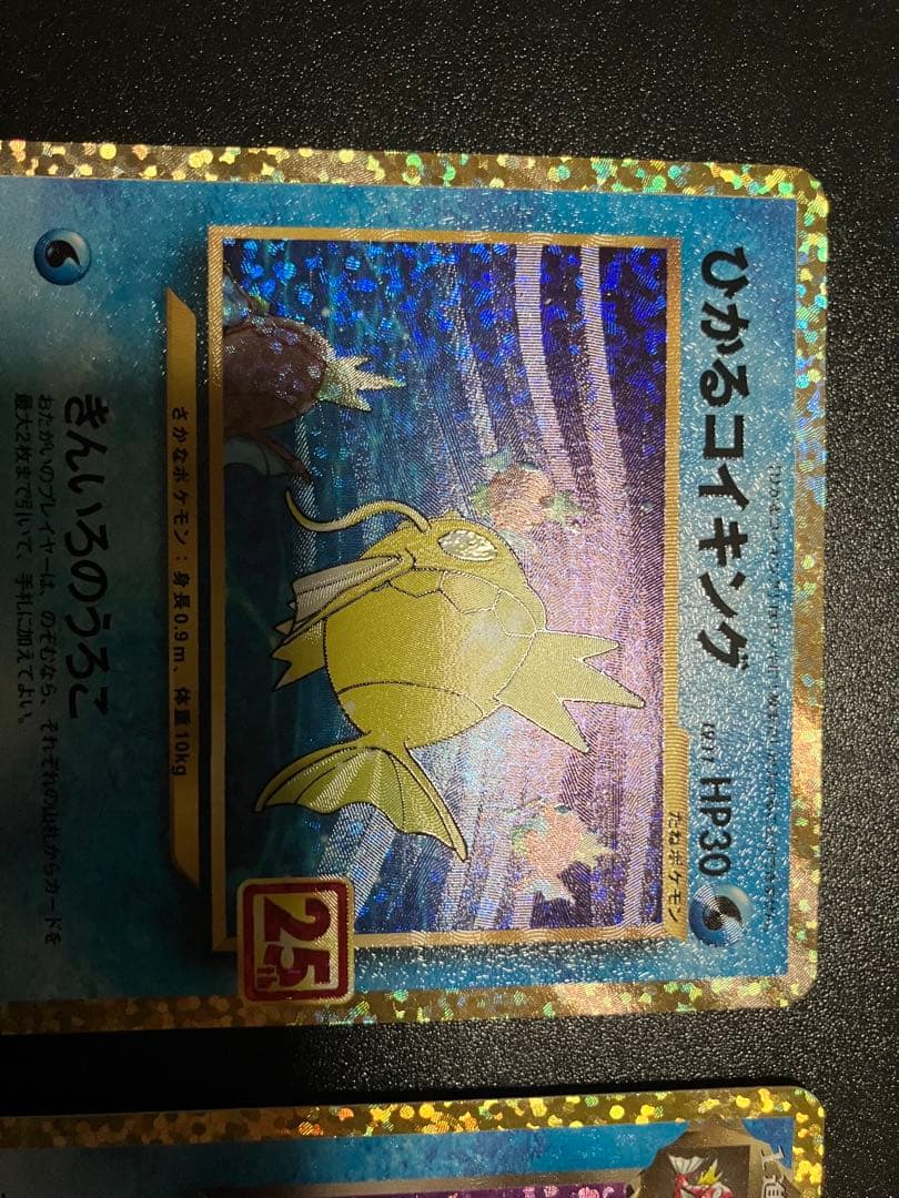 ひかるコイキング & わるいギャラドス 25th