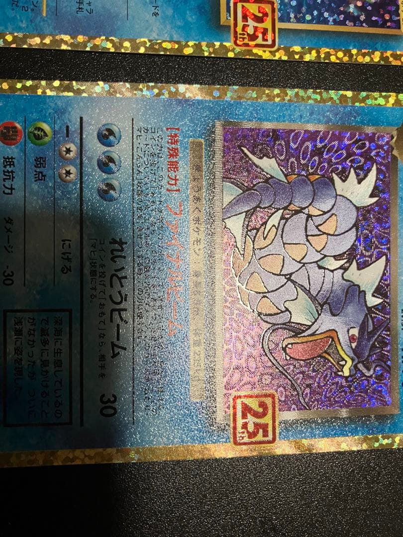 ひかるコイキング & わるいギャラドス 25th