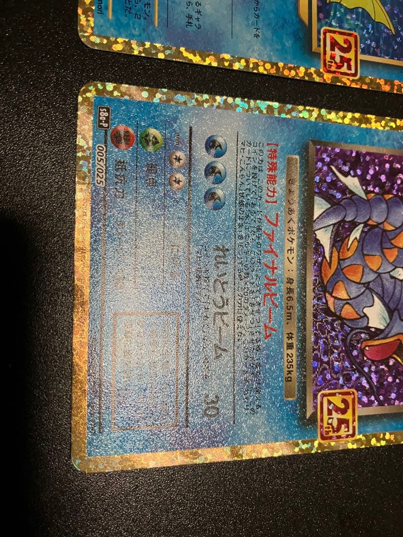 ひかるコイキング & わるいギャラドス 25th