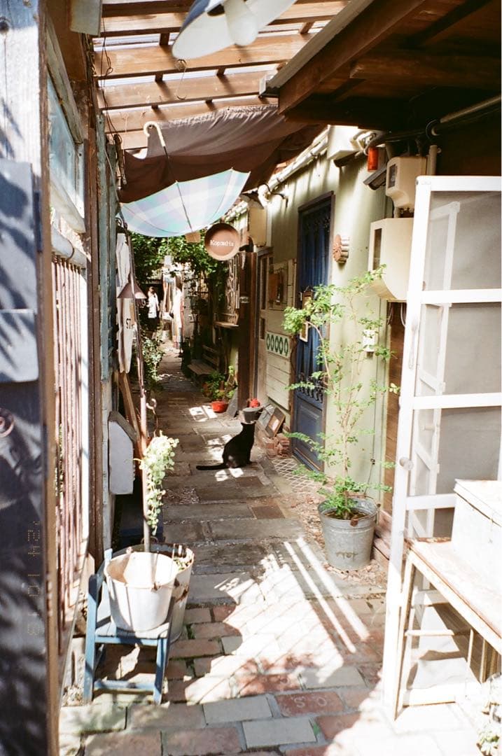 Natura classica【マーズ】