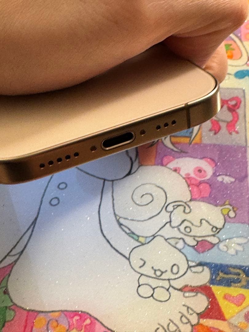 N*o様 北米版カメラ音無iPhone16pro 256gb SIMフリー