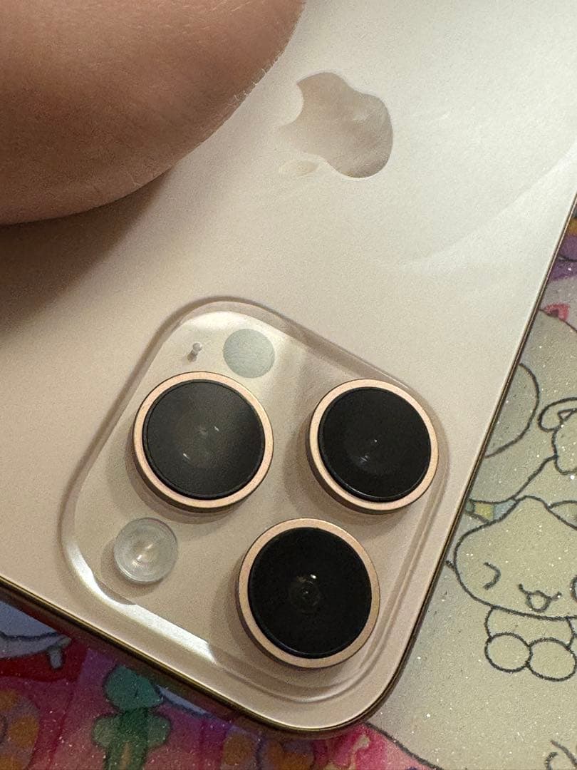 N*o様 北米版カメラ音無iPhone16pro 256gb SIMフリー