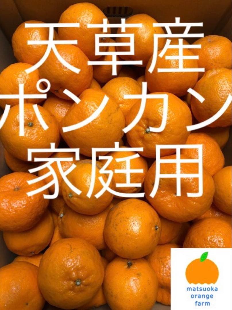 天草産ポンカン　家庭用　箱込20kg