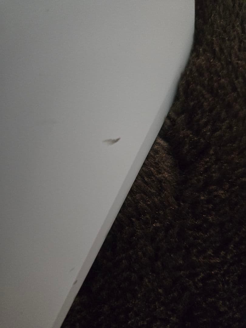 ディスプレイ・モニター本体 Dell AlienWare AW2721D WQHD 240hz