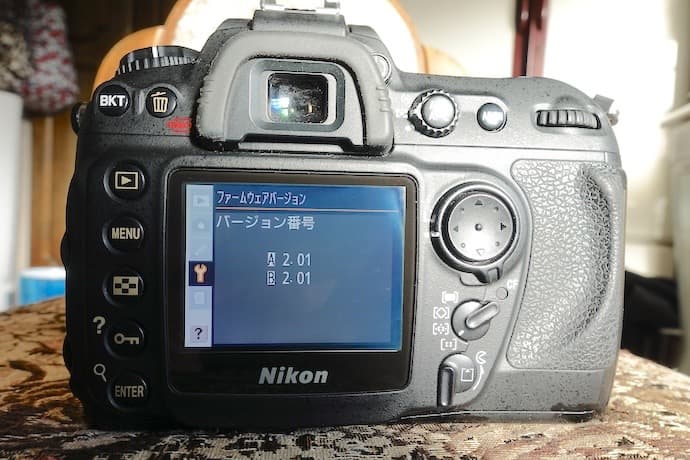 ニコン D200 CCD名機 実写作例有り