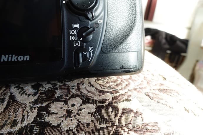 ニコン D200 CCD名機 実写作例有り